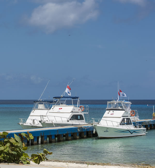 Marinas