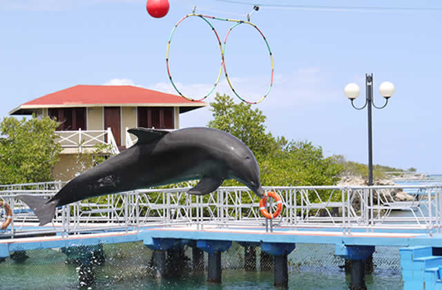 Marinas