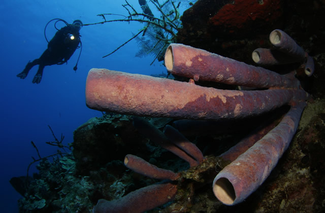 Marinas