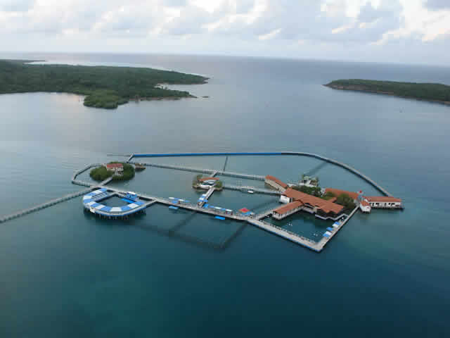 Marinas