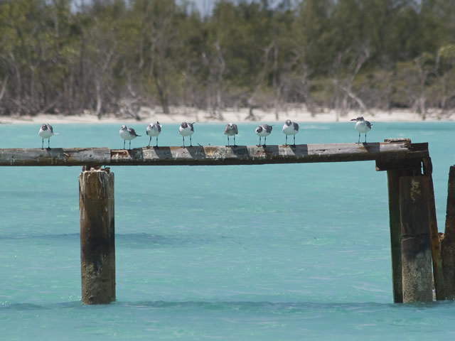 Marinas