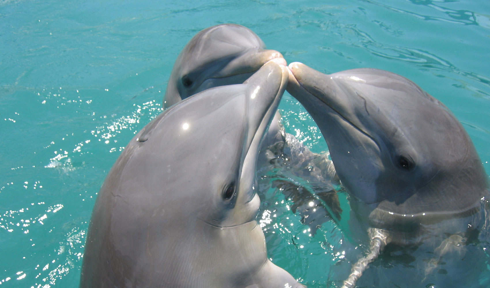 Marinas