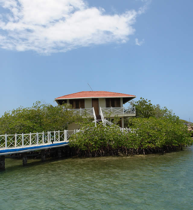 Marinas