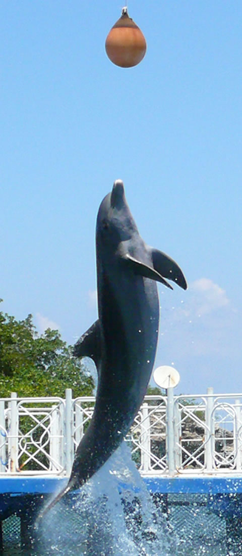 Marinas