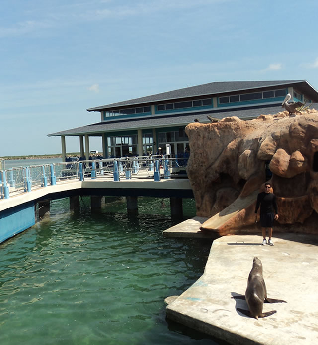 Marinas