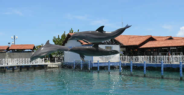 Marinas