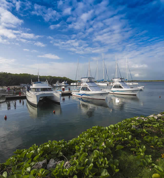 Marinas