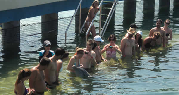 Marinas