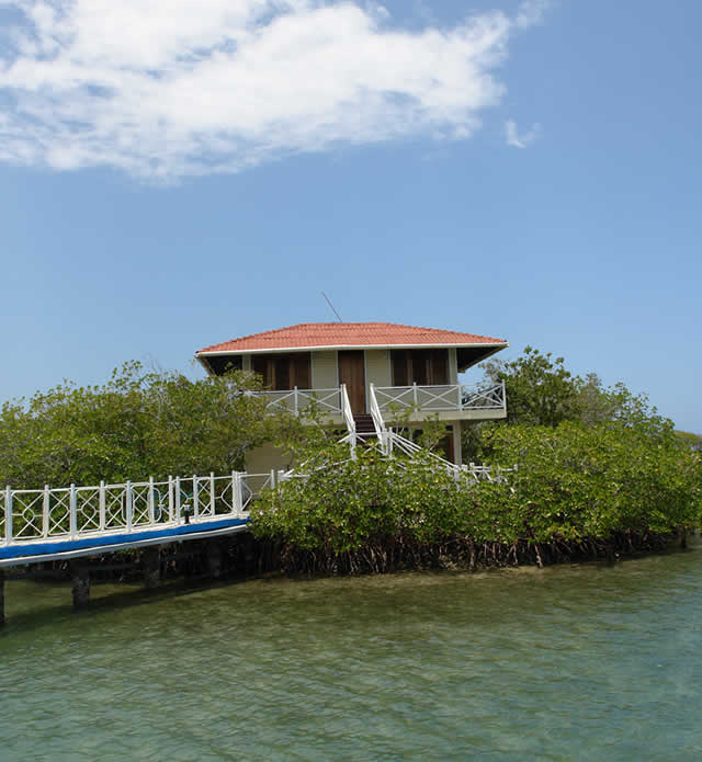 Marinas