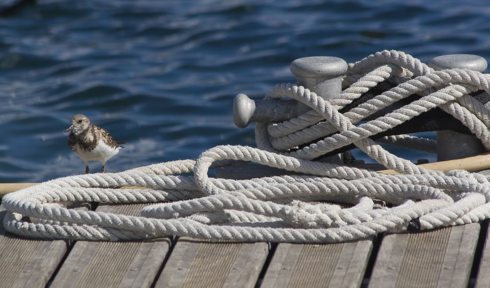 Marinas