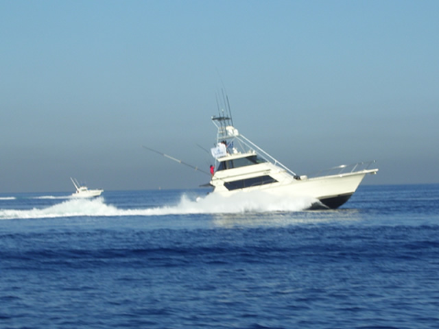 Marinas
